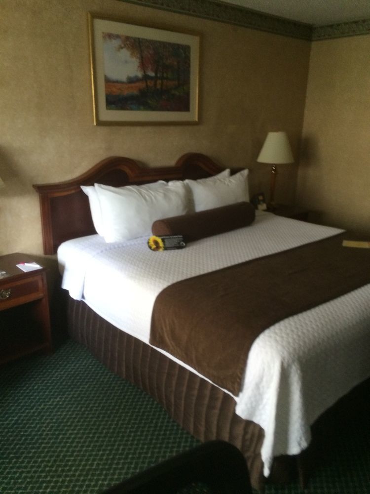 Doubletree By Hilton Brookhollow Houston